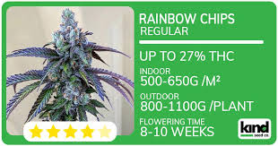 Everything You Need to Know About Cannabis Seeds Mississippi
