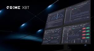 Exploring the Thrilling PrimeXBT Bonuses