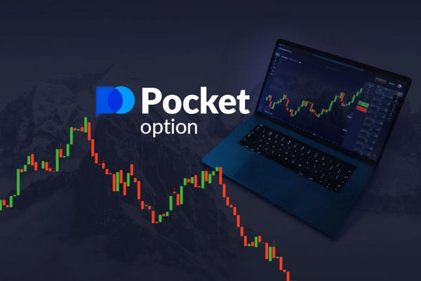 Pocket Option Verification A Complete Guide to Secure Trading
